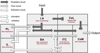 A Computational Model Integrating Multiple Phenomena on Cued Fear Conditioning, Extinction, and Reinstatement